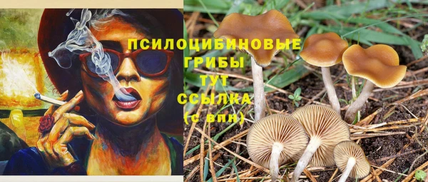 стафф Балахна