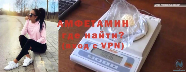 стаф Баксан