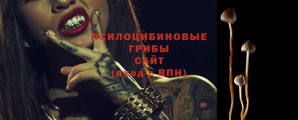 стаф Баксан