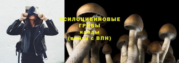 спайс Балабаново