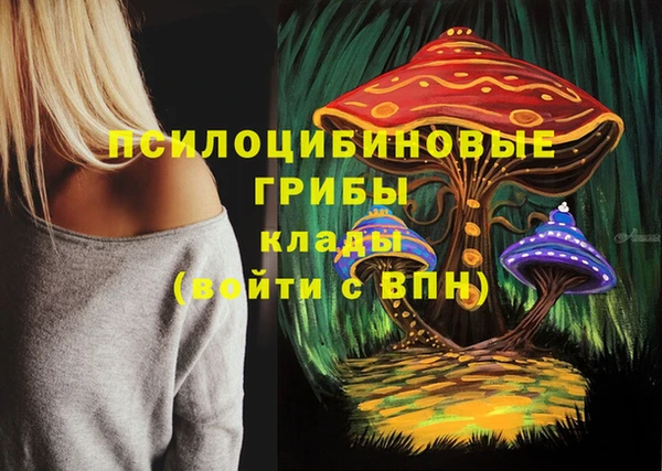стаф Баксан