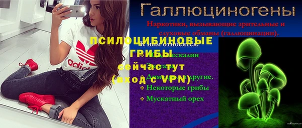 стаф Баксан